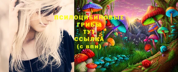 соль ск Нефтекумск